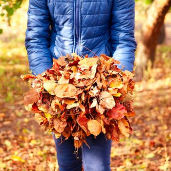 how to treat soils with leaves as mulch