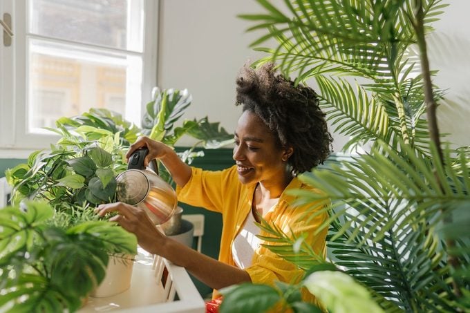 Plant hacks for your indoor garden