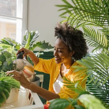 Plant hacks for your indoor garden