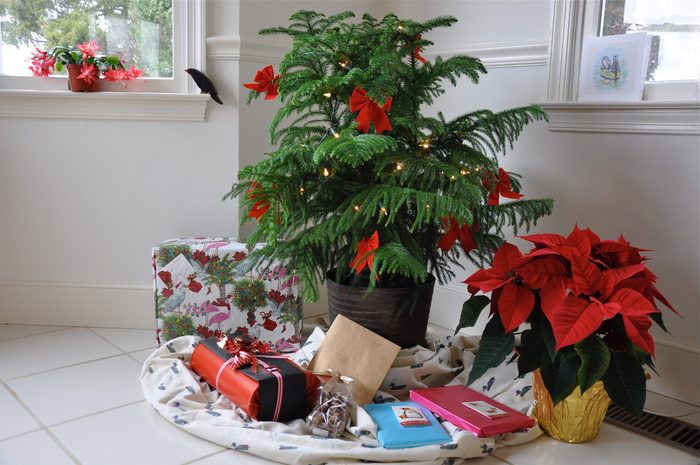 Christmas Tree And Gifts At Home