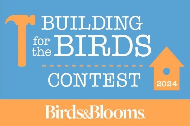 Building For The Birds Contest 2024