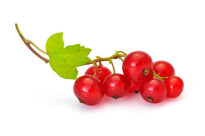 Bunch Of Ripe Red Currants On Their Stalk With A Green Leaf
