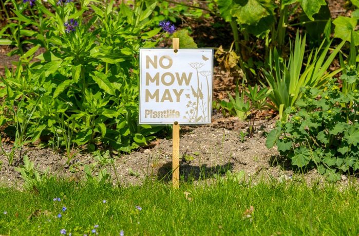 No Mow May sign village green, Middle Woodford, Woodford Valley, Wiltshire, England, UK