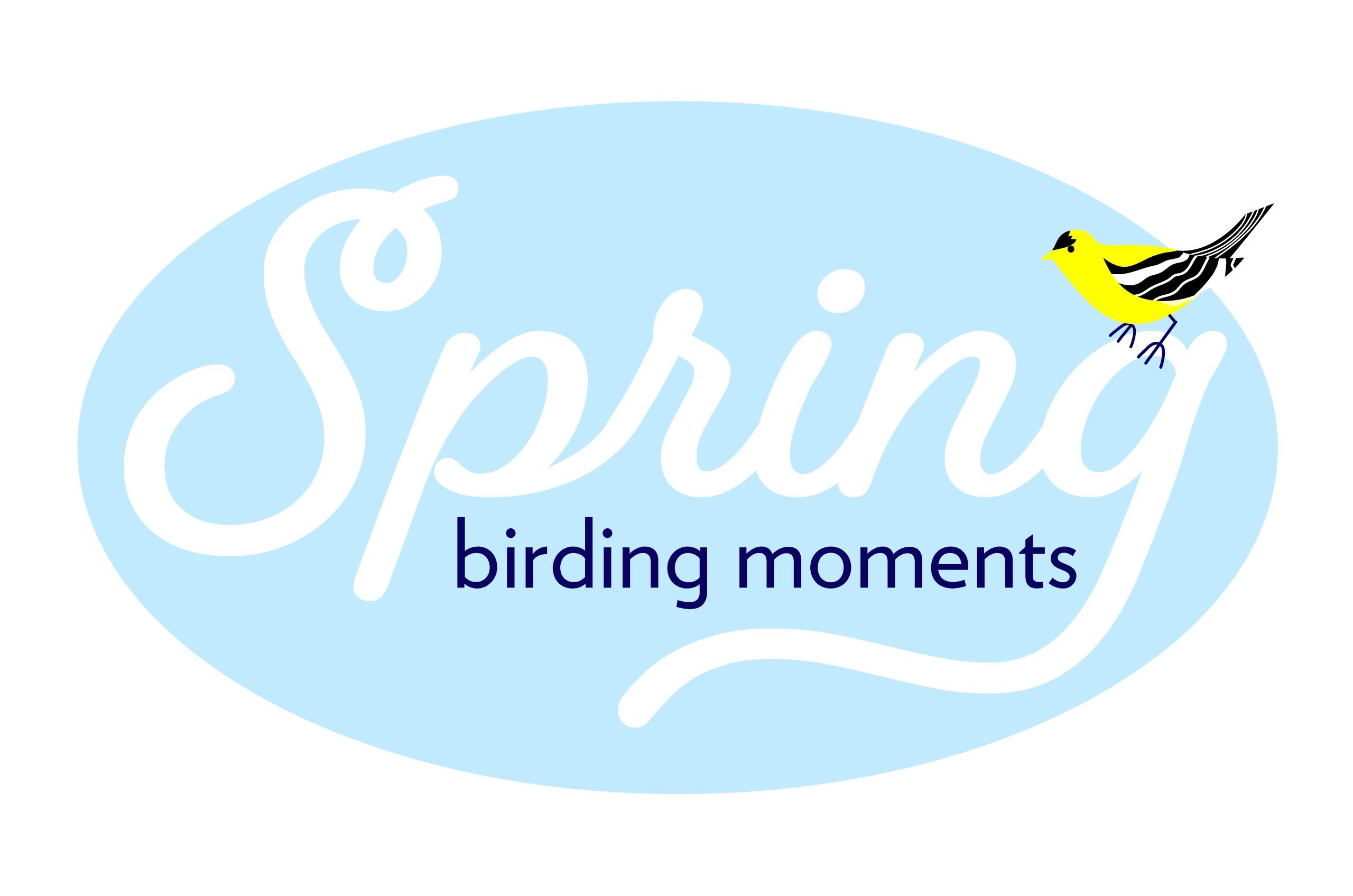 Spring birding moments video contest