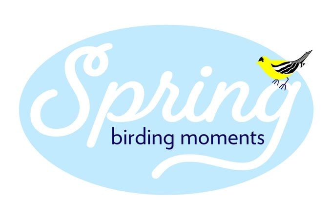 Spring birding moments video contest